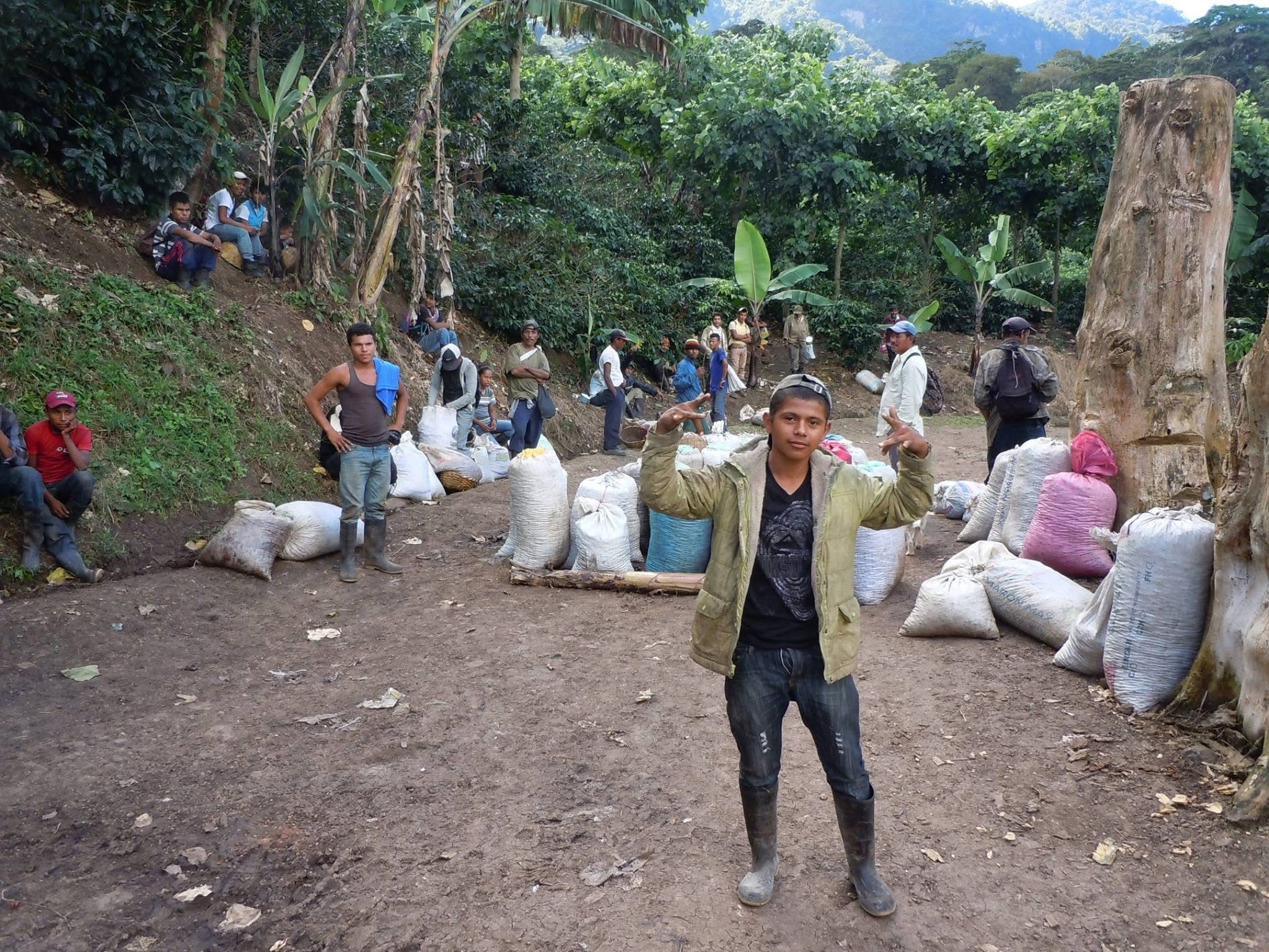 A group outdoors with sacks of coffee